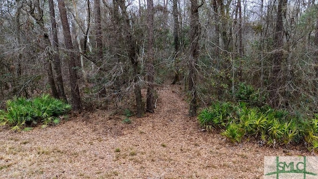 0 Lowground Rd, Guyton, GA 31312 - photo 1