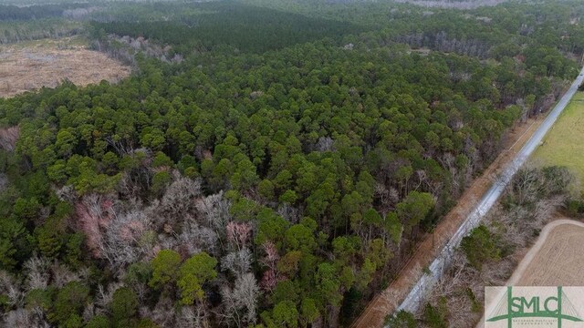 0 Lowground Rd, Guyton, GA 31312 - photo 2