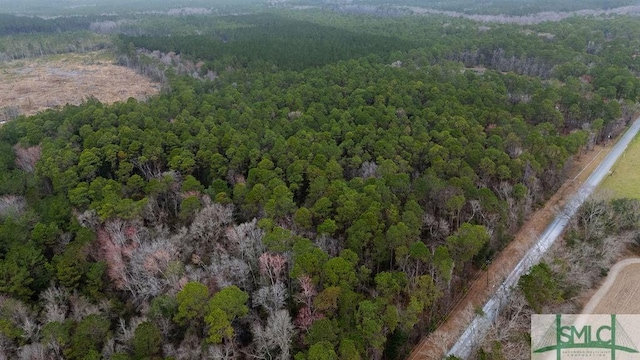 0 Lowground Rd, Guyton, GA 31312 - photo 3