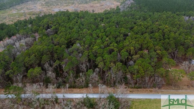 0 Lowground Rd, Guyton, GA 31312 - photo 5