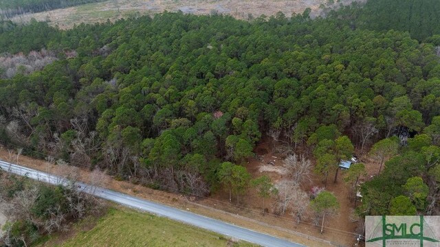 0 Lowground Rd, Guyton, GA 31312 - photo 7