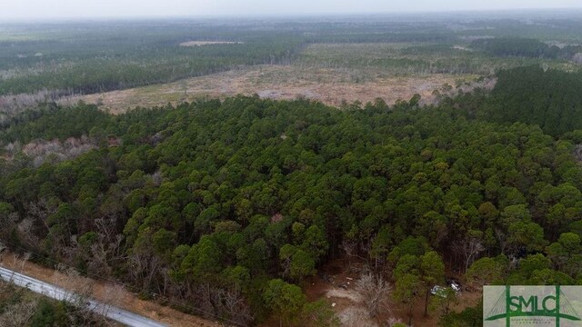 0 Lowground Rd, Guyton, GA 31312 - photo 8