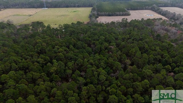 0 Lowground Rd, Guyton, GA 31312 - photo 9
