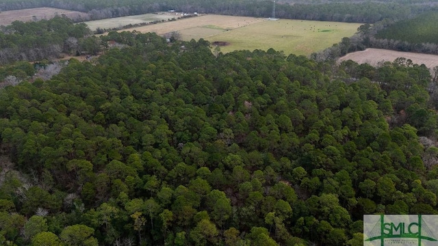 0 Lowground Rd, Guyton, GA 31312 - photo 10