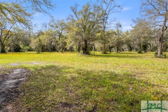 LOT7 Bermuda Bluff Ln, Midway, GA 31320