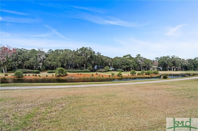 view of home's community featuring a water view and a yard