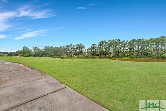 125 Danbury Ct, Pooler, GA 31322 - photo 42