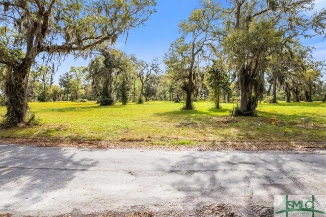 LOT21 Bermuda Bluff Ln, Midway, GA 31320