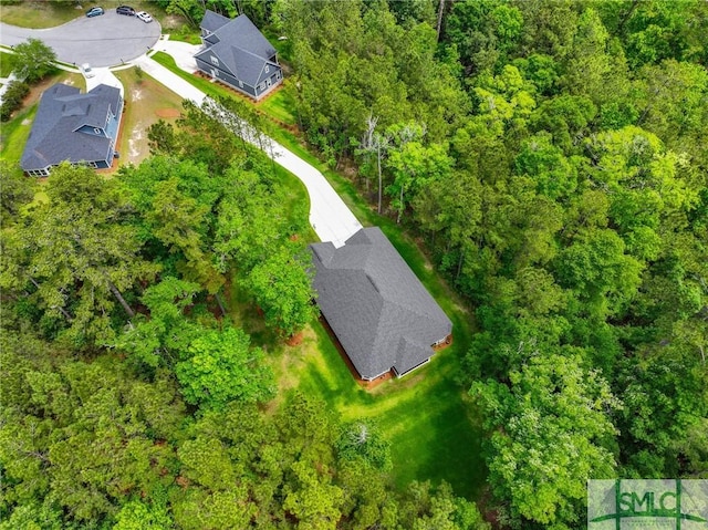 20 Serenity Pt, Savannah, GA 31419 - aerial view