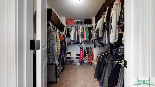 walk in closet featuring carpet floors