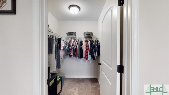 walk in closet featuring carpet flooring