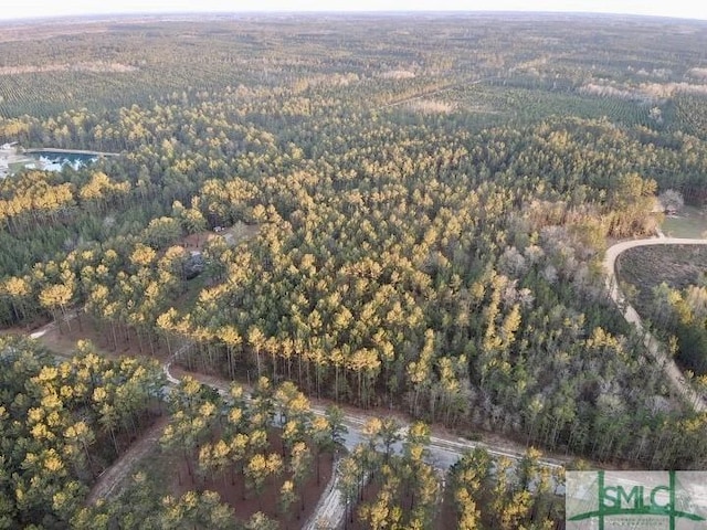 0 Bay Branch Church Rd, Claxton, GA 30417 - photo 1