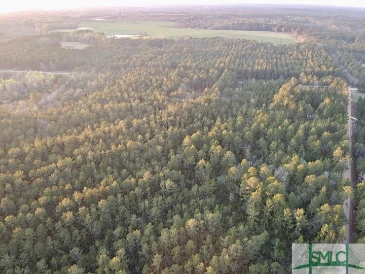 0 Bay Branch Church Rd, Claxton, GA 30417 - photo 2