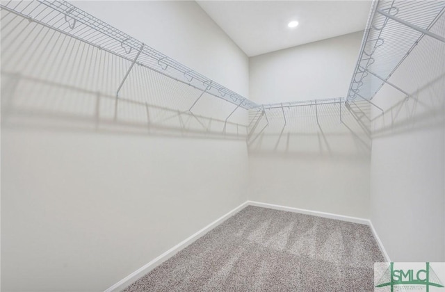 walk in closet featuring carpet floors