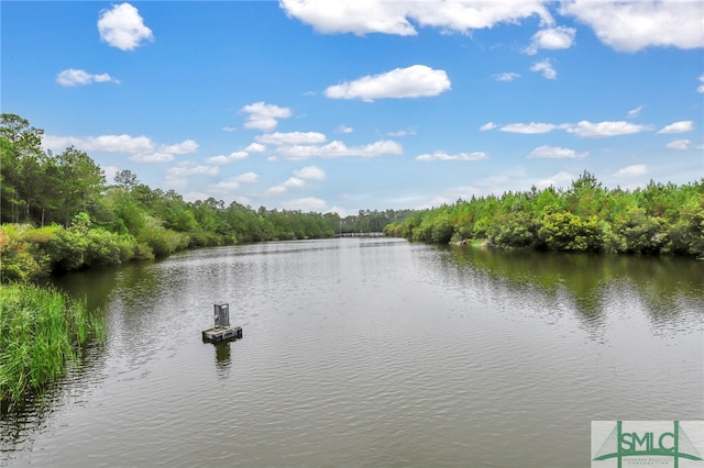 127 Lower Creek Dr, Richmond Hill, GA 31324 - water view featuring a view of trees