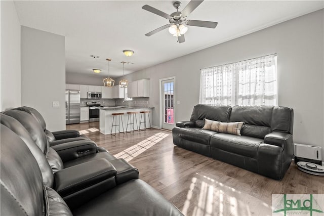 63 Springer Cir, Ludowici, GA 31316 - living room with a ceiling fan and wood finished floors