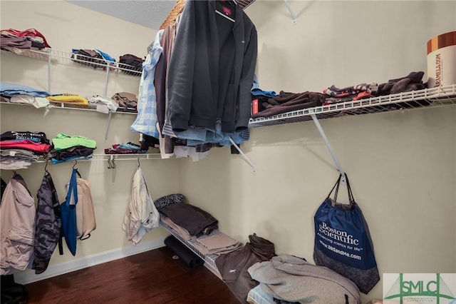 walk in closet featuring wood finished floors