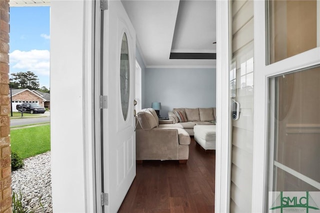 interior space featuring ornamental molding and dark wood-type flooring