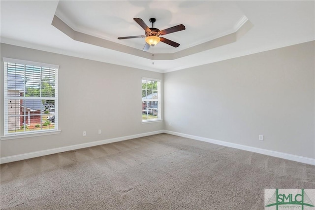 empty room featuring carpet floors, a wealth of natural light, and a raised ceiling