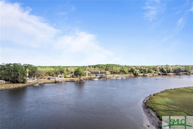 LOT6 Bermuda Bluff Ln, Midway, GA 31320