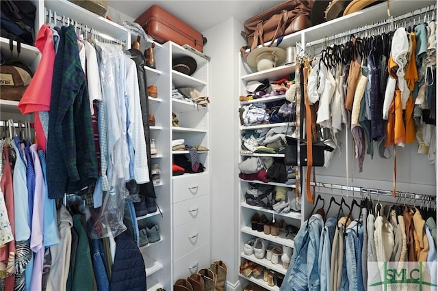 view of walk in closet