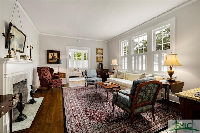 living area featuring crown molding, dark wood finished floors, and a fireplace