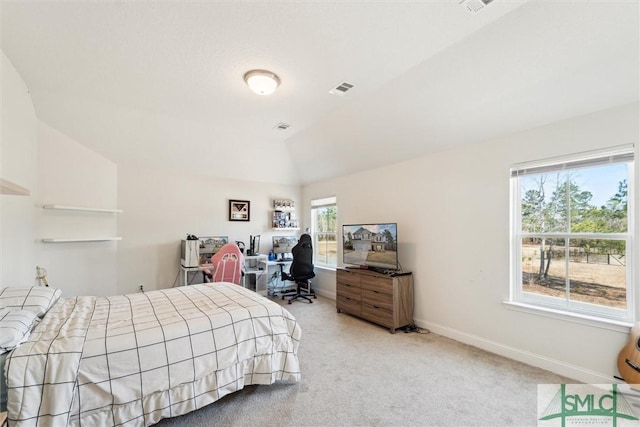 4 Rimes Ave SE, Ludowici, GA 31316 - bedroom with carpet floors, baseboards, lofted ceiling, and visible vents