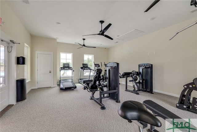 gym with baseboards, a ceiling fan, carpet flooring, and attic access