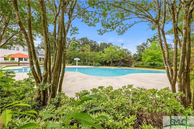 227 Flagler Dr, Savannah, GA 31419 - community pool featuring a patio