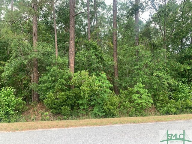 116 Oak St, Rincon, GA 31326 - photo 3