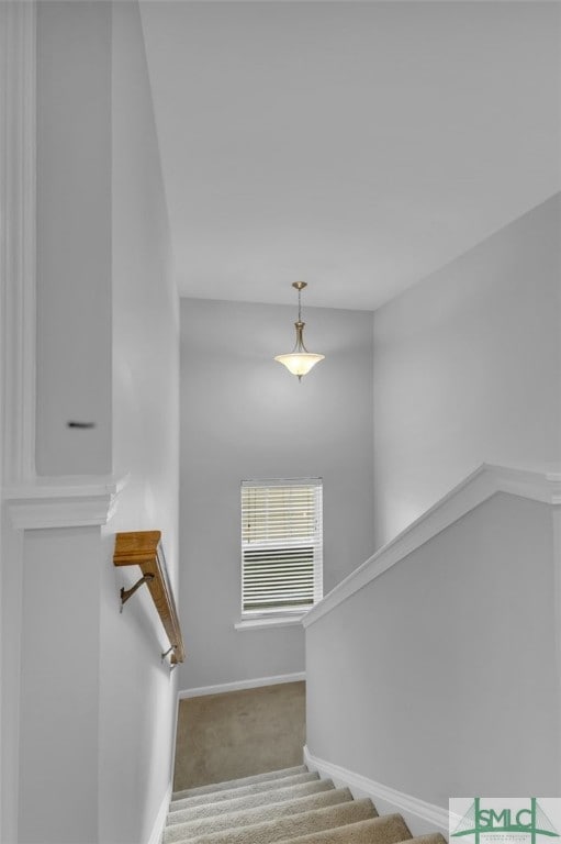 95 Wando View Way, Richmond Hill, GA 31324 - staircase with baseboards and carpet
