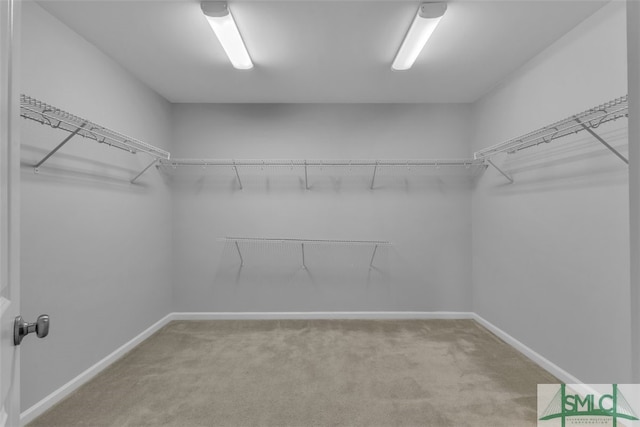 95 Wando View Way, Richmond Hill, GA 31324 - walk in closet featuring carpet floors