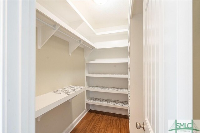spacious closet featuring dark wood-style flooring