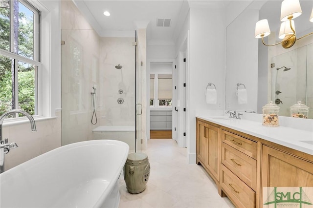 full bathroom featuring a sink, a freestanding tub, a shower stall, and a wealth of natural light