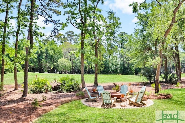 view of yard with a fire pit