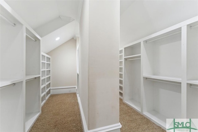 80 Hickory St, Richmond Hill, GA 31324 - walk in closet with carpet