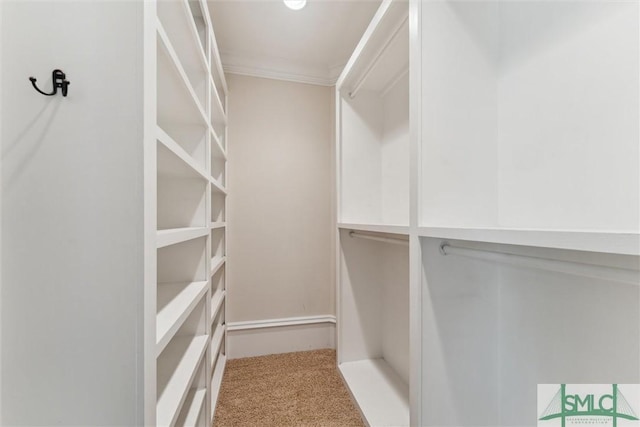 80 Hickory St, Richmond Hill, GA 31324 - walk in closet featuring carpet