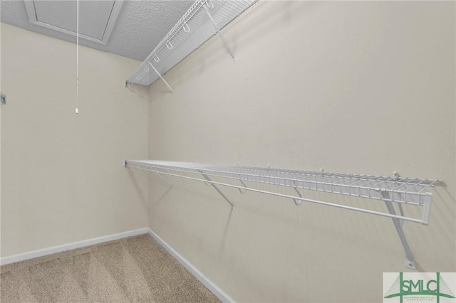 spacious closet with attic access and light carpet