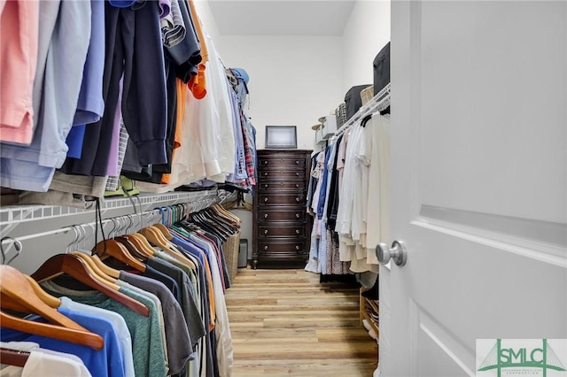 5 Lazy Hammock Ct, Savannah, GA 31419 - spacious closet with wood finished floors