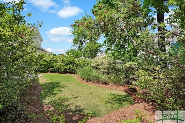 5 Lazy Hammock Ct, Savannah, GA 31419 - view of yard