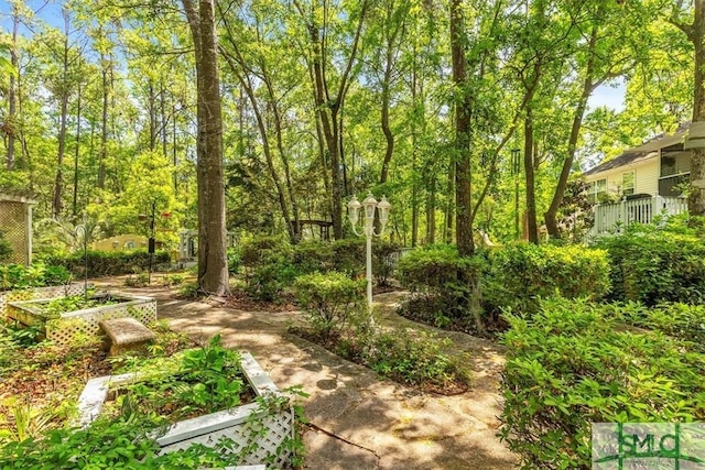 view of yard featuring a vegetable garden