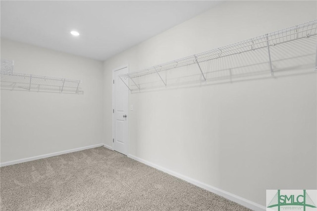 spacious closet featuring carpet floors
