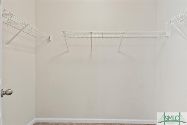 76 Hamilton Grove Dr, Pooler, GA 31322 - walk in closet featuring carpet floors