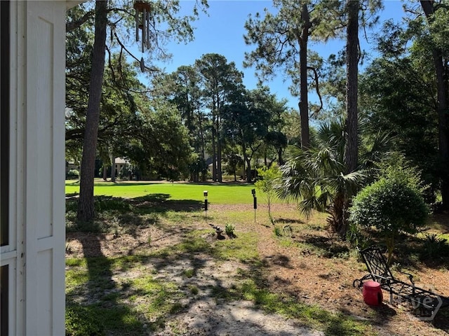 31 Sweetgum Xing, Savannah, GA 31411 - view of yard