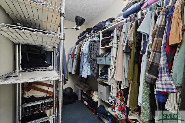 121 Pelican Ln, Richmond Hill, GA 31324 - walk in closet featuring carpet floors