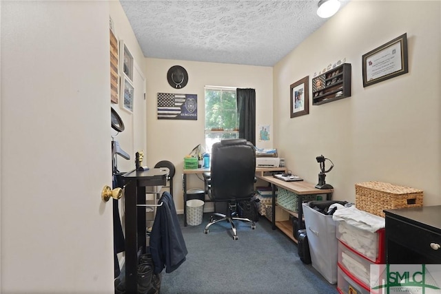 121 Pelican Ln, Richmond Hill, GA 31324 - carpeted office space featuring a textured ceiling