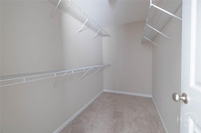46 Covey Ln NE, Ludowici, GA 31316 - photo 8