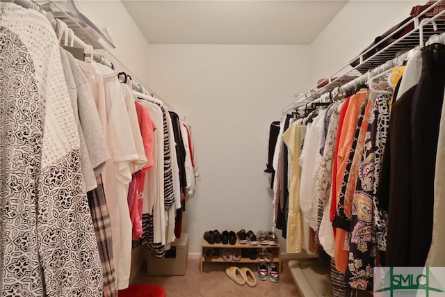 spacious closet featuring carpet