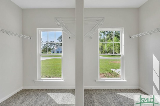 291 Cromer St, Savannah, GA 31407 - walk in closet with carpet