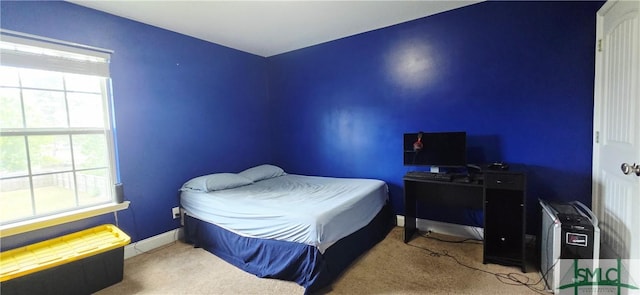14 Canterbury Rd NE, Ludowici, GA 31316 - bedroom with baseboards, multiple windows, and carpet flooring